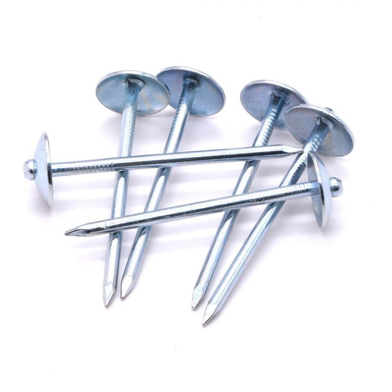 Zambia Namibia Market/Excellent Sales Iron Roofing Nails Corrugated Iron Nails 1 1/2 Inch