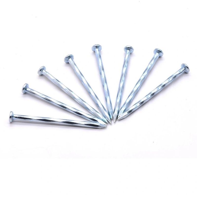 Professional Angular Spiral Steel Concrete Nails Wire Nail Suppliers