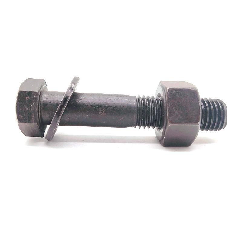 Black Hex Bolt and Nut