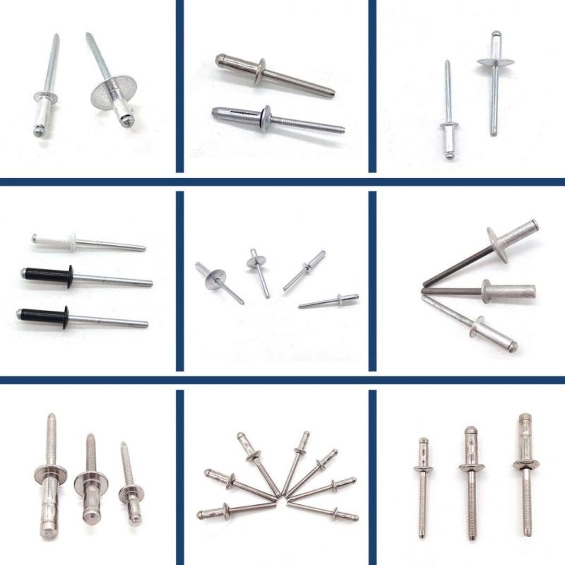 SS304 SS316 Aluminum Fastener Tubular Hollow Round Flat Countersunk Head Pop Rivet