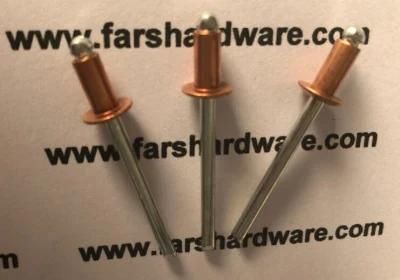Copper Stainless Steel Open Type Dome Head Pop Rivet