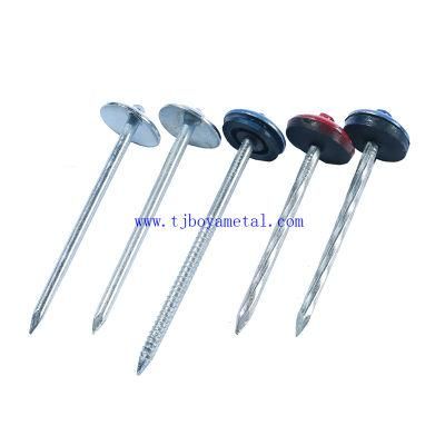 Umbrella Head Roofing Nails/Corrugated Nails Galvanized Twisted Shank