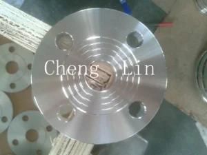 Stainless Steel Flange GB9119