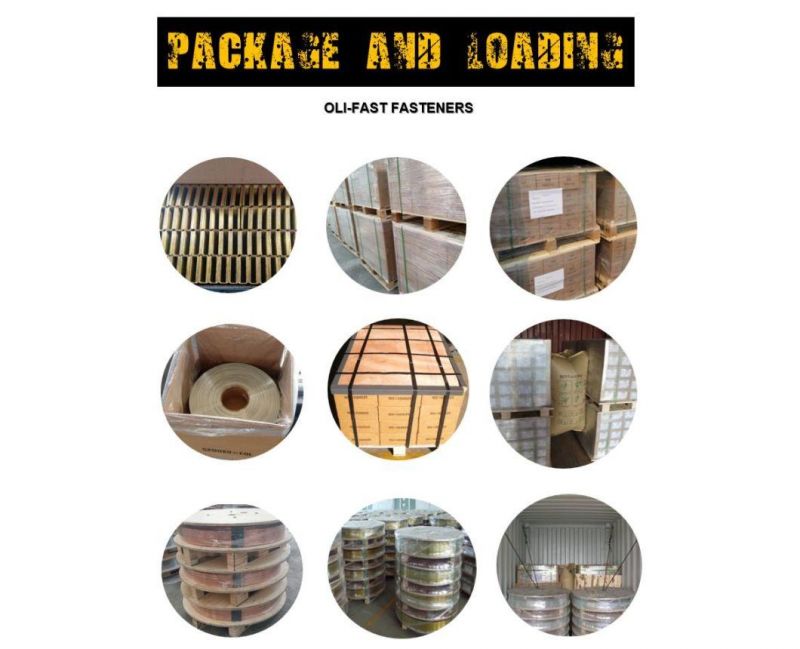 22ga 53/08 Series Galvanized Staples Factory Supply