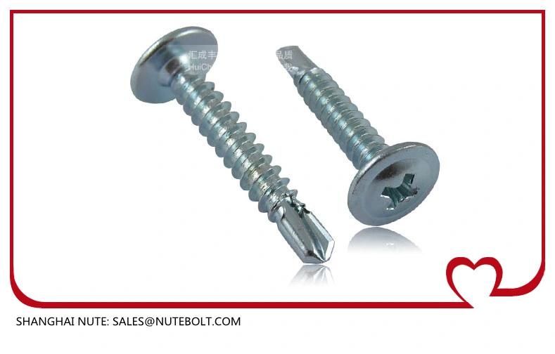 Stainless Steel 304 316 410 Self Drilling Screws St2.9 to St6.3, Flat Head, Pan Head, Hex Washer Head, Truss Head, and So on.