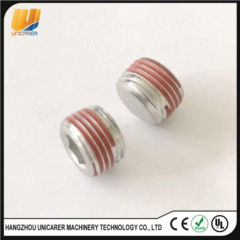 Ss 304 or 316 1/8-27 Nptf Plug for Diff Cover with Liquid Raw Material Belt