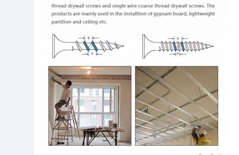 Fine Thread/Coarse Thread Pan, Truss, Flat, Oval, Round, Cheese Blind Rivet Drywall Screw