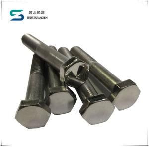 ANSI/ASTM/ASME Hex Head Cap Screw Hex Bolt with HDG