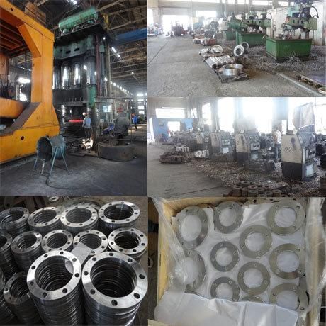 En1092 Type01, DIN2633 C22.8, Rst37.2 or C22.8 150lbs/300lbs/600lbs/900lbs/1500lbs/2500lbs, Forged Flat Face FF/Raise Face RF Rtj Plate Flanges