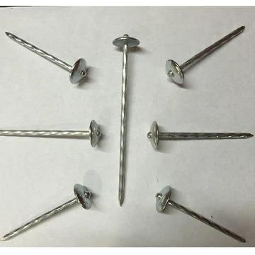 Umbrella Head Twisted Shank Roofing Nail