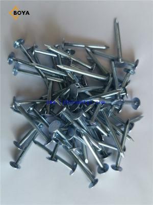 Common Round Nail Iron Wire Nails for Wood Building Construction with Flat Head Metal Clout Nails