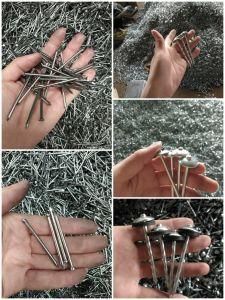 Iron Nail and Roofing Nail Fastener Hardware Products