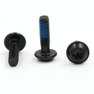 Customized Locking Torx Pan Head Nylok Patch/Coated Screws