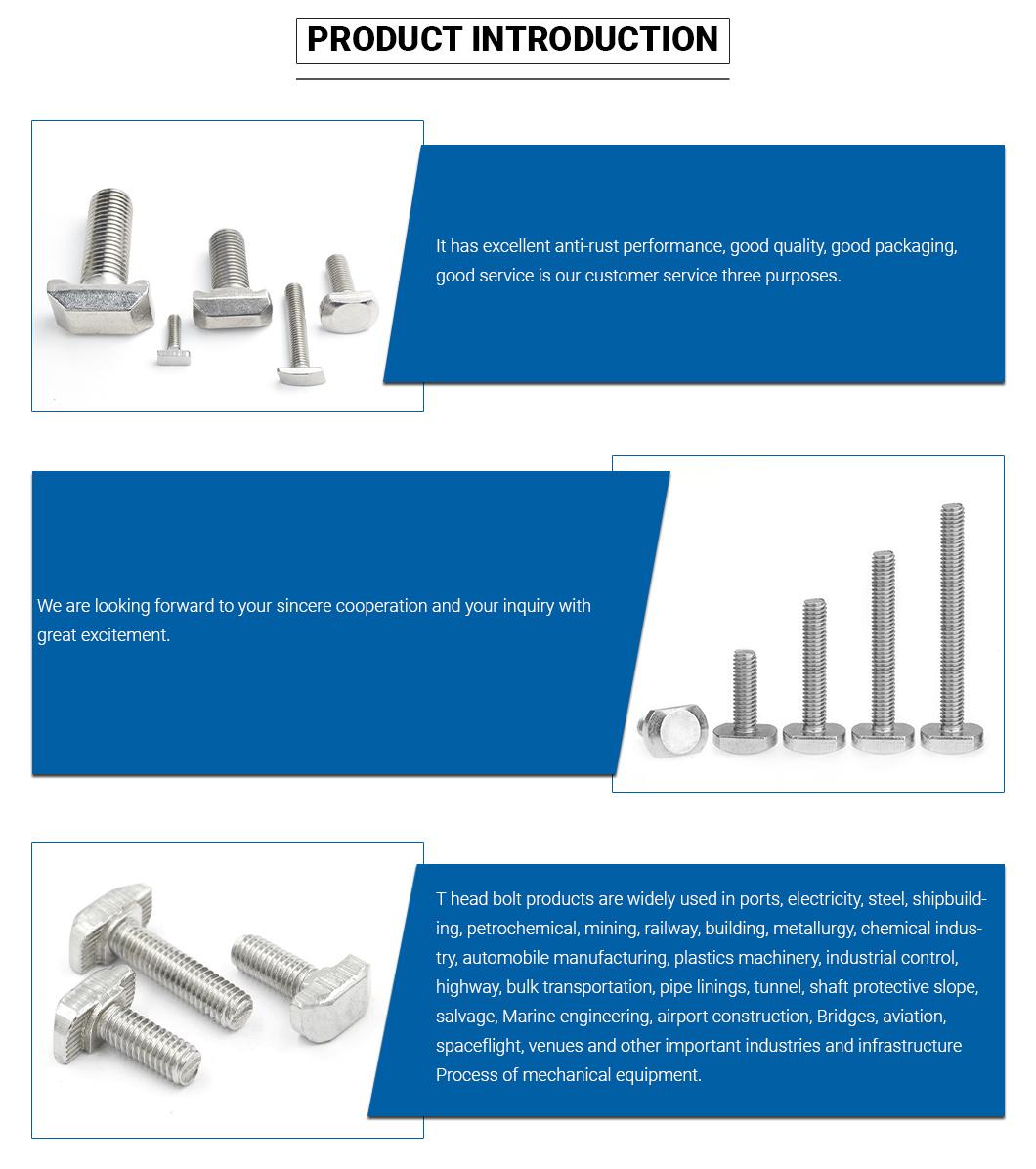 Customized Size Stainless Steel 304 316 T Head Bolt