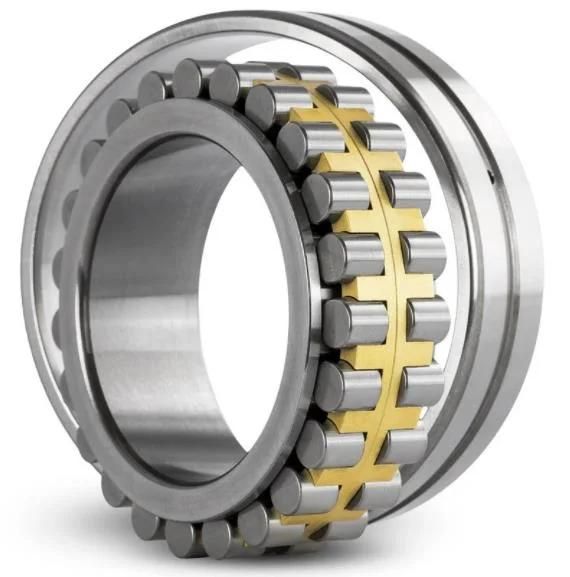 Made in China Motorcycle/Auto Parts Wheel Parts Cylindrical Roller Bearing
