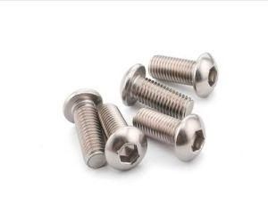 DIN Ss Hex Bolt