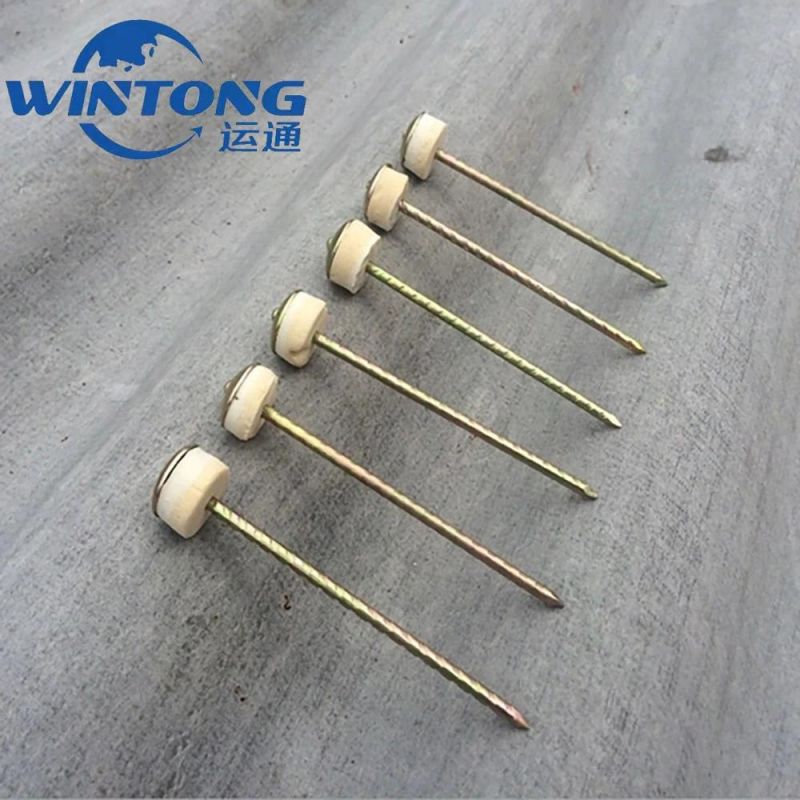 Galvanized Concrete Roofing Nails Wire Nail with High Quality and Competition Price Stainless Steel Nails in China