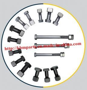Track Bolt&Nut/Plow Nut/Segment Bolt/Sprocket Bolt