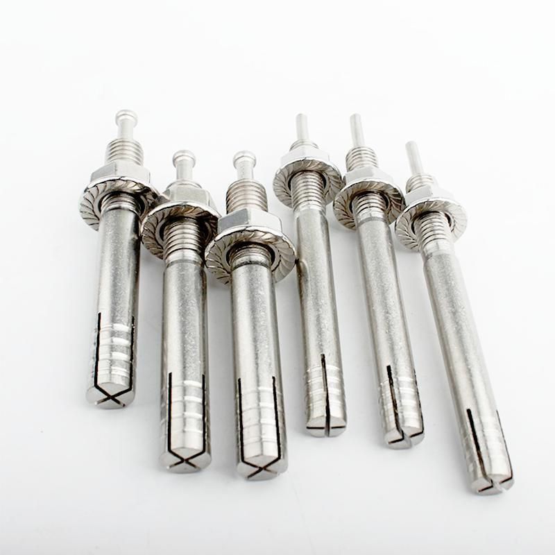 1-1/4" Stainless Steel 304 316 Hammer Drive Anchor Hit Pin Nail Strike Anchor with Flange Nut