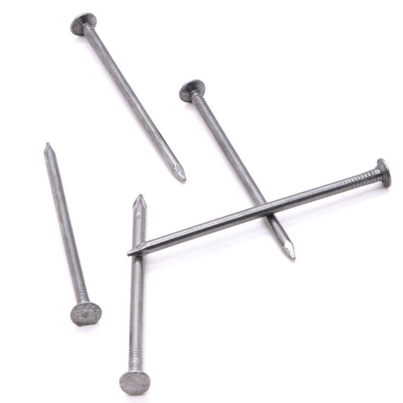 Best Quality Common Nail/Hot Dipped Nail