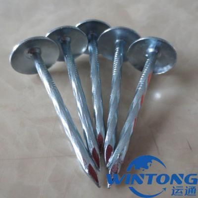 Galvanized Roofing Nail, Polished Roofing Nails, Corrugated Nail Wholesale