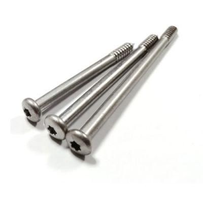 410 Stainless Steel Round Pan Head Torx Self Tapping Screw