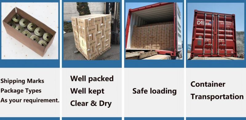 Pneumatic Nailer Coil Nails for Wooden Packaging Box/Pallet From China Dezhou