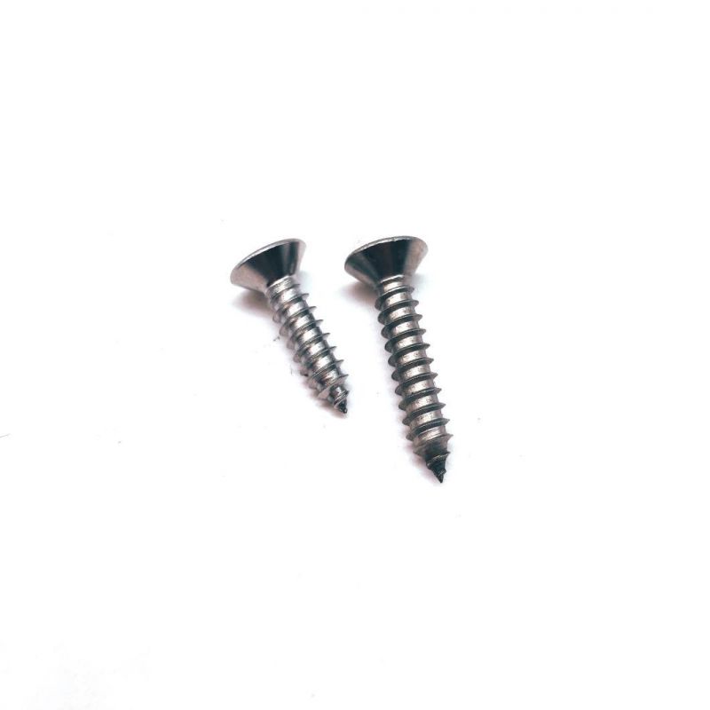 Stainless Steel Cross Recessed Countersunk Head/Csk Self Tapping Screw Fastener Machine Screw