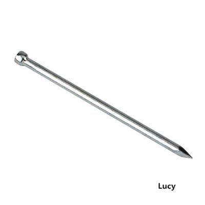 1&prime;&prime;-6&prime;&prime; Diamond Point Lost Head Nail for Furniture Fitting