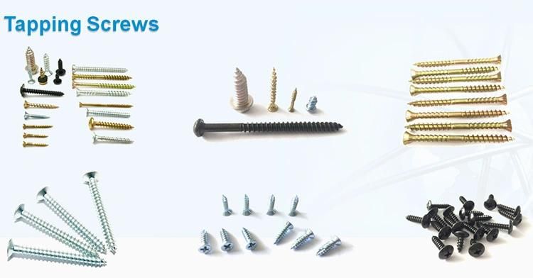 Size 4.2X51mm Modified Phillips Truss Head White and Blue Zinc Plated Self Tapping Screws