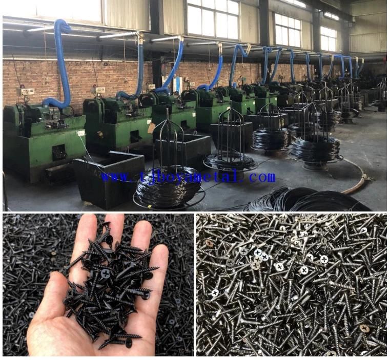 High Quality Black Fine Thread Drywall Screw Manufacturer/Supply Bugle Head Black Gypsum Board Screw Drywall Screw Tianjin