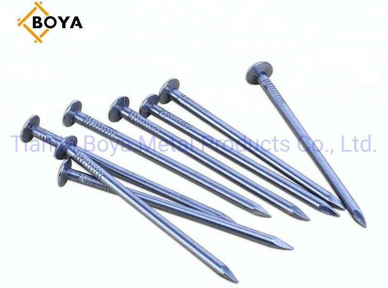 Bright Common Wire Nails/Polished Nail/Galvanized Nail/Building Nail/Iron Nail/Hardware
