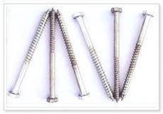 High Quality Steel Nail