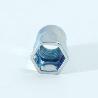Carbon Steel Flat Hex Head Rivet Nut with Zinc Plated