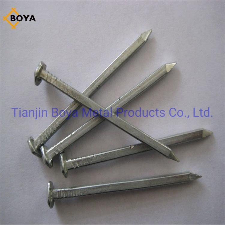Electro Galvanized Square Boat Nails for Boat Building