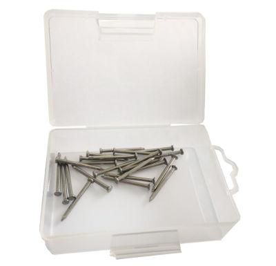 Q195 Common Round Iron Nail/Wire Nails/Building Metal Nails/Steel Nails/Polished Nail/Steel Nails/Wooden Nail/Concrete Nail Factory Price 100mm