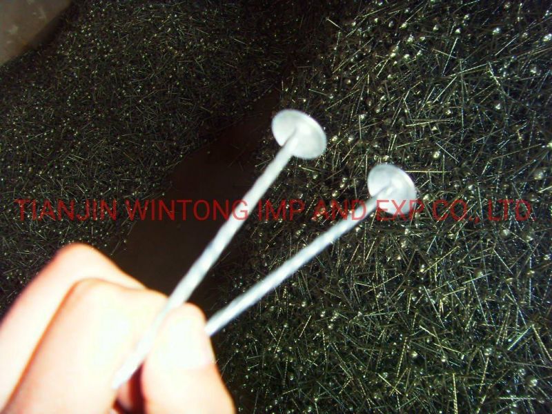 Hot Dipped Galvanized Screw Roofing Nails Concrete Nails with Washer