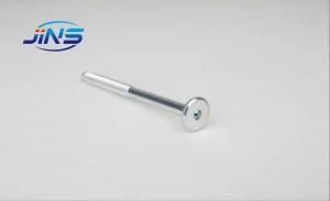 Stainless Steel Male Thread Hex Socket Countersunk Flat Head Screw