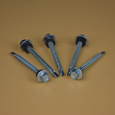 Special Bit Screw