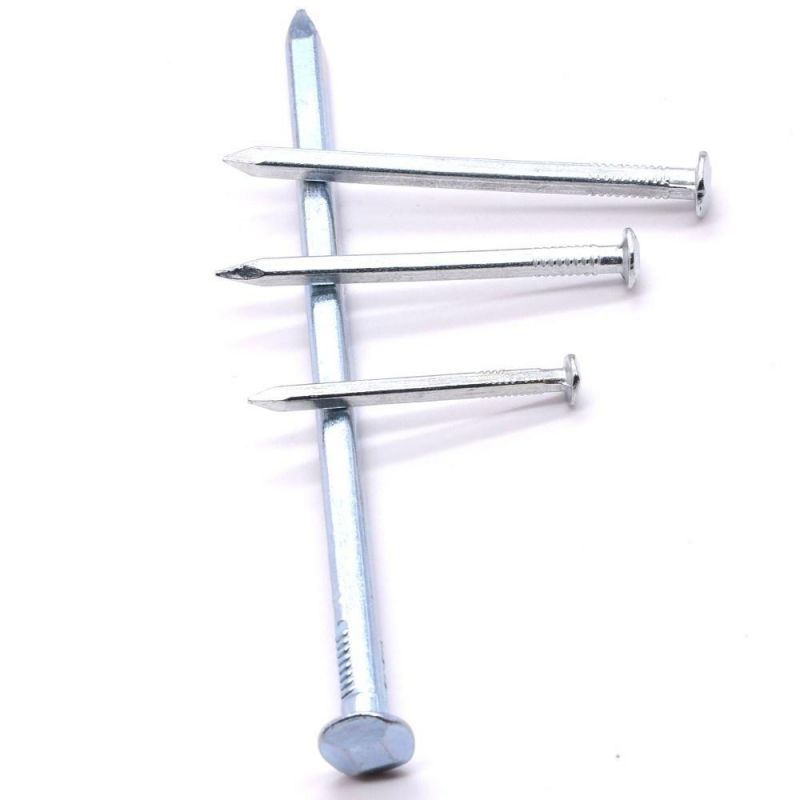Vietnam Philippines Singapore Market/Worth Buying Galvanized Square Boat Nails Galvanized Nails for Wood Boat Building