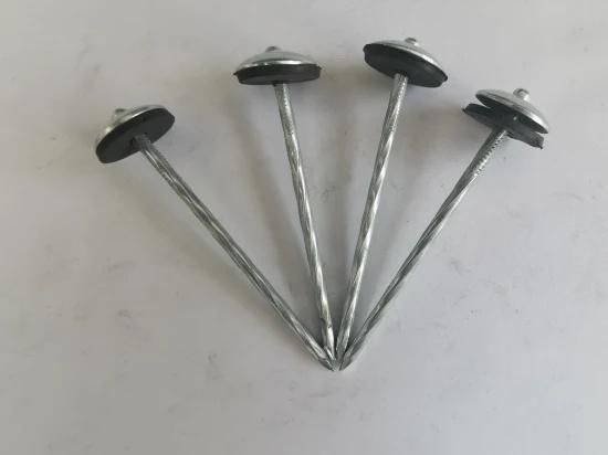 Angola Zambia Namibia Market/Roofing Screw Gypsum Cheaper Steel Nails Screw Spiral Concrete Nails