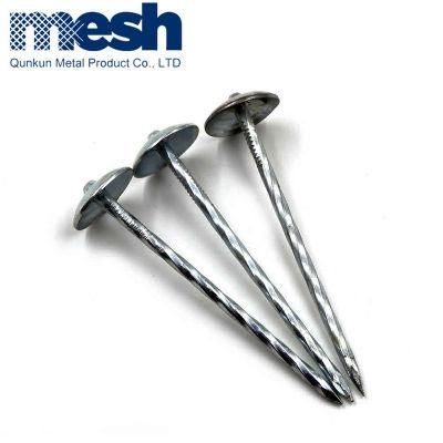 Factory Hot Sale Customized Sizes and Package Iron Carbon Zinc Large Head Plated Umbrella Roofing Steel Zinc Nails