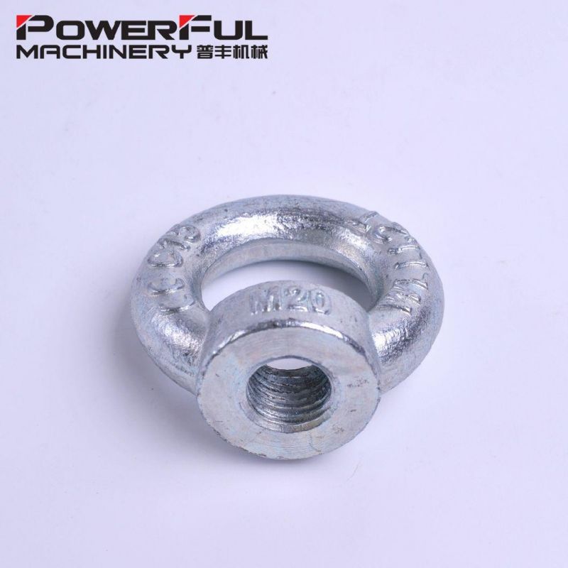 Wholesales Drop Forged DIN582 Galvanized Lifting Eye Nut