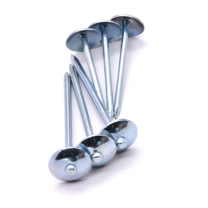 Chinese Factory Supply Umbrella Head Roofing Nails Construction Low Price Galvanized Roofing Nails