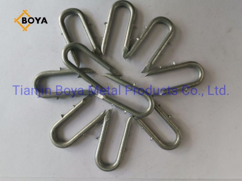 U Type Nail with Galvanized and Polished