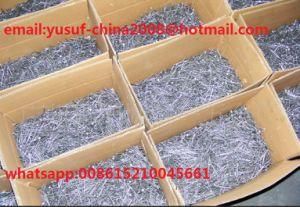 Nails Nail Wood Wire Nails Made in China Polished Common Round Nail for Construction