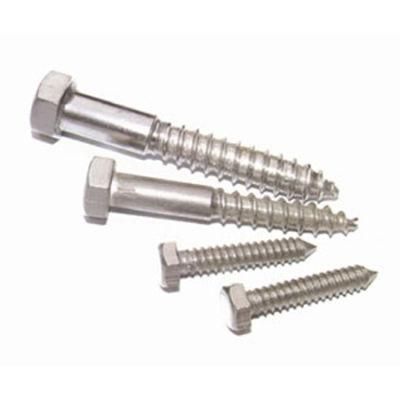 DIN571 Hex Head Lag Screw Wood Screw Stainless Steel 304 316 A2 A4