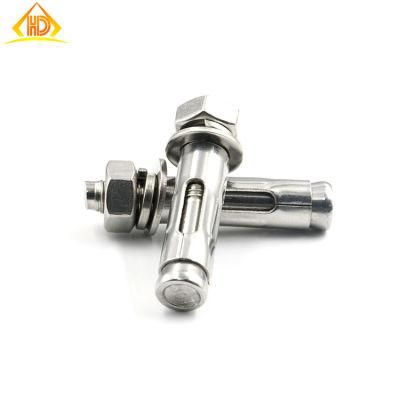 M6 M8 M10 M12 SUS304 316 Brass A2 A4 Carbon Steelscale Knurled Eye Hook Wedge Drop in Nylon Plug Sleeve Anchors
