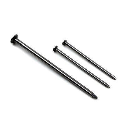 Polished Wood Common Iron Nail From Guangzhou Supplier