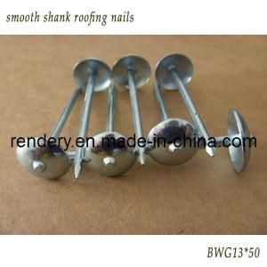 Screw/Smooth Shank Umbrella Roofing Nail